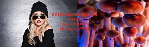 амф Нея