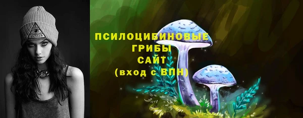 мет Нефтегорск