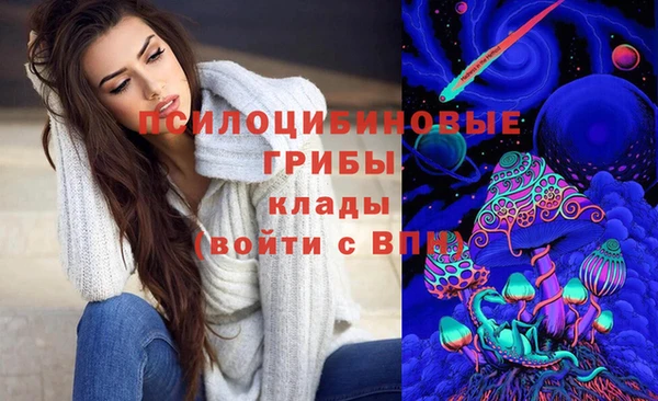 гашик Нефтекумск