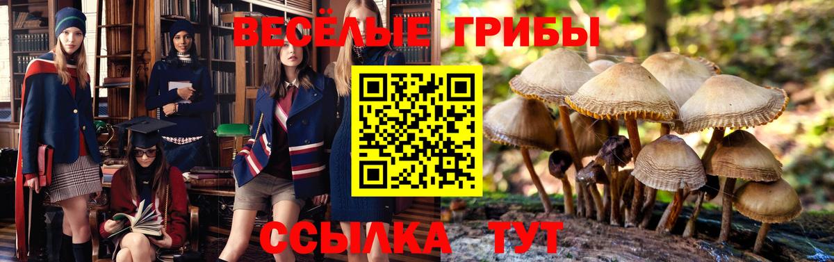 Псилоцибиновые грибы мухоморы Губкинский