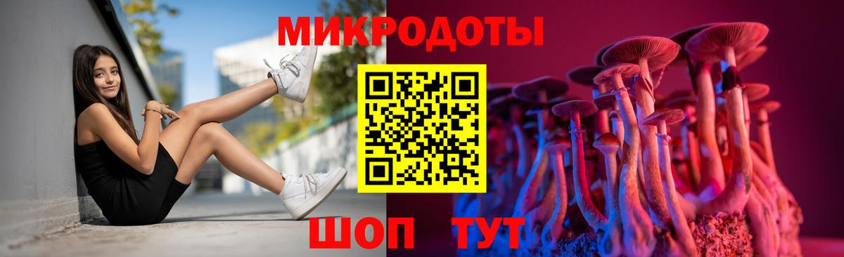 Губкинский  Псилоцибиновые грибы прущие грибы  Вход с VPN 